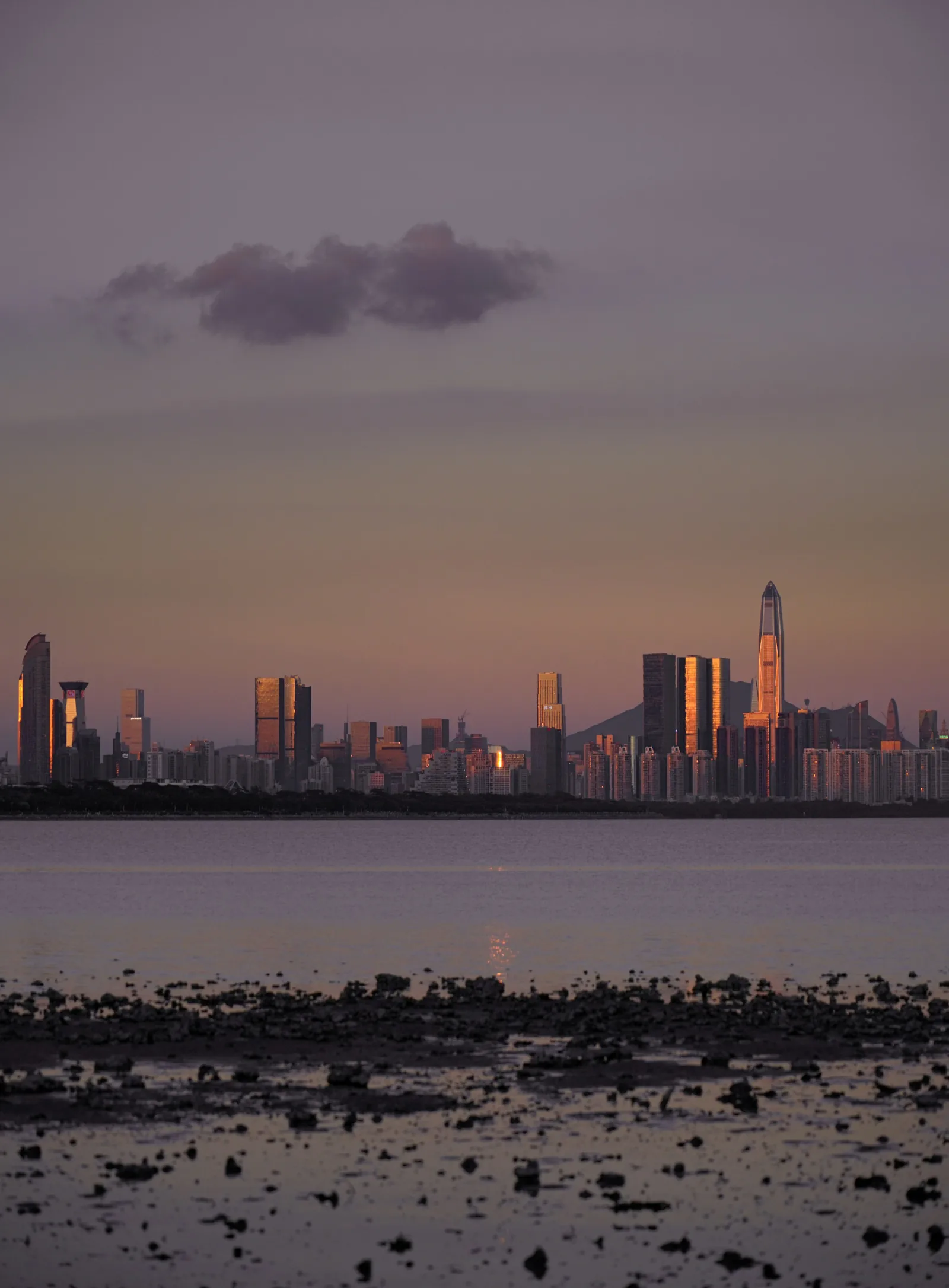 Shenzhen Bay waterfront at sunset